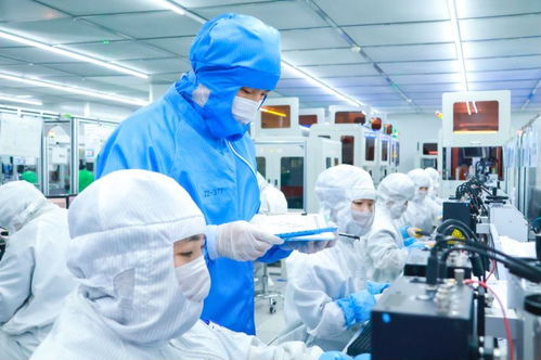 辽宁厚植沃土 医学研究与试验发展如何让科技小苗开出振兴之花