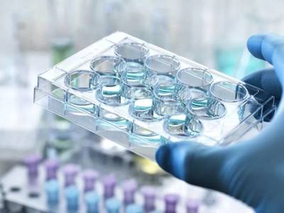 新冠肺炎对生命科学行业的冲击与重塑 医学研究与试验发展迎来新契机