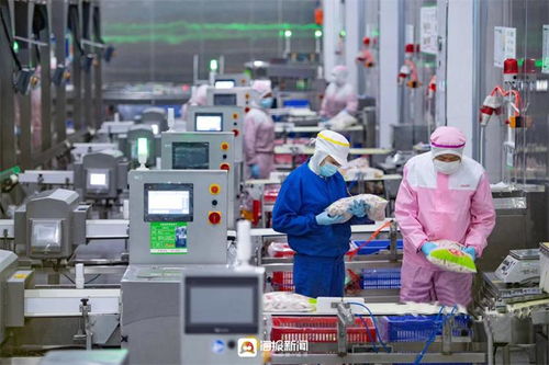 中国式现代化的德州实践 乐陵市统筹城乡发展 扛牢“三面旗”建设新篇章