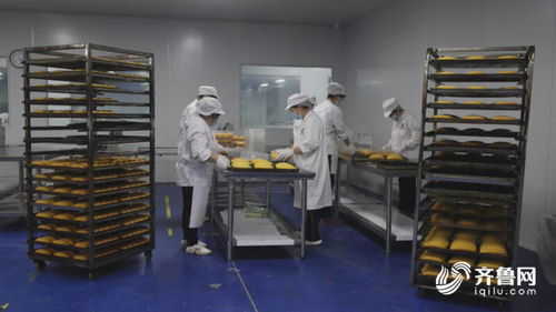 临邑 培育食品产业链条，激发乡村发展新动能