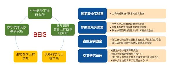医械筑梦·交叉融创 生物医学工程专业的多维视野与发展前景